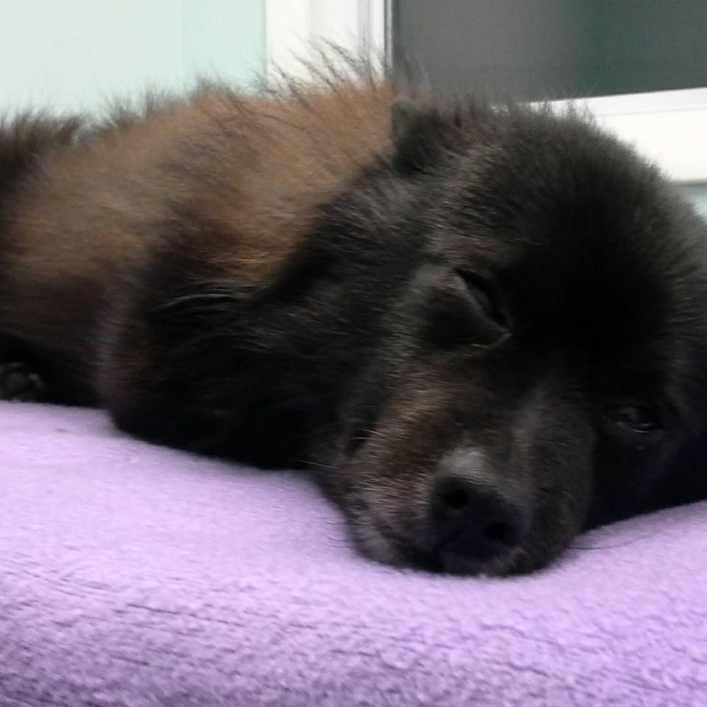 Meet your Posher, Kassie